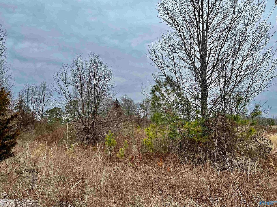 2nd image of 7 County Road 496