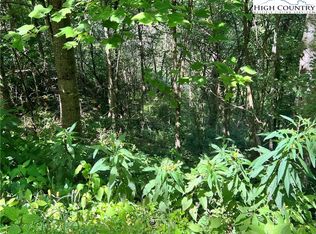 Lot 7 Old Barn Road, Vilas, NC 28692