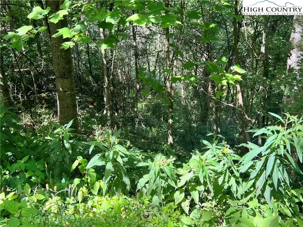 Lot 7 Old Barn Road, Vilas, NC 28692