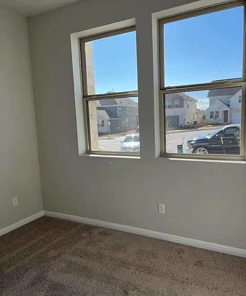 1006 Pinyon Cv — Photo 15