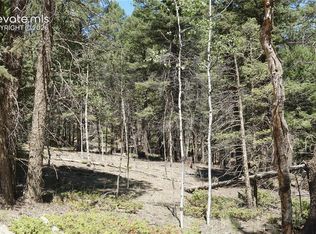 616 Indian Creek Rd, Florissant, CO 80816