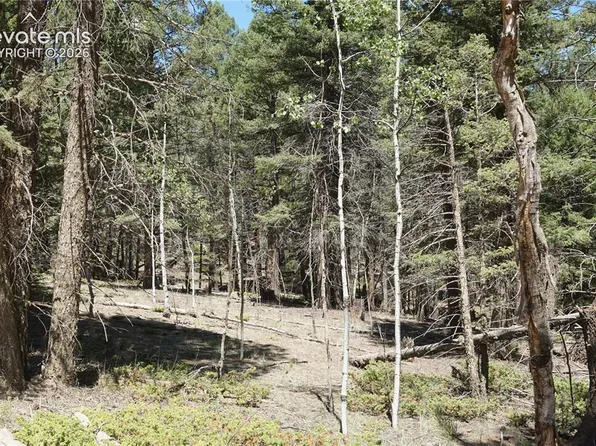 616 Indian Creek Rd, Florissant, CO 80816
