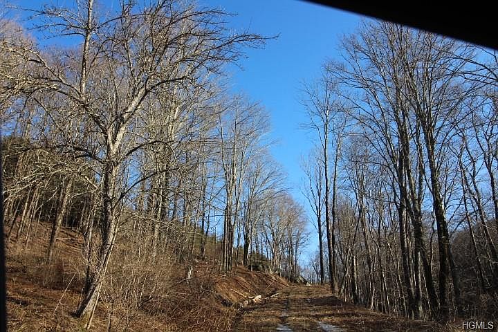 2nd image of Wegman Rd