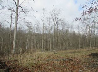 40074 Osbourne Rd, Salineville, OH 43945