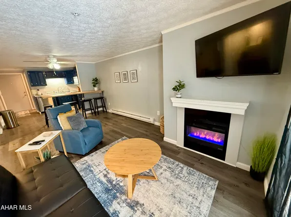 127 E Valley Point Ln, Claysburg, PA 16625