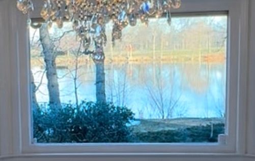 View from DIning Room