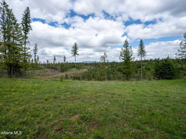 481 Trapper Loop, Saint Maries, ID 83861