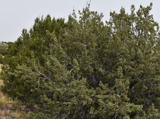 6 County Road 5060, Concho, AZ 85924