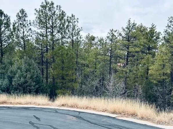 1790 W Snow Crk, Show Low, AZ 85901