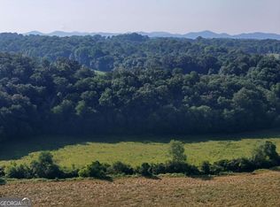 1 Spring Ridge Trl, Morganton, GA 30560