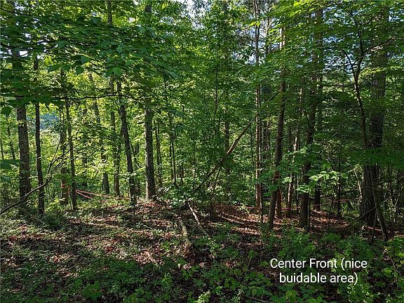 3rd image of 772 Naomi Ct