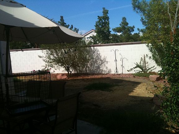 Large backyard
