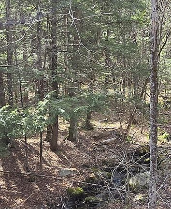 2nd image of 360 Jacobs Ladder Rd