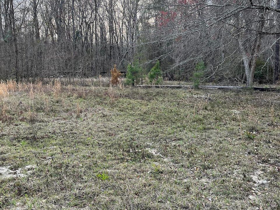2nd image of 238 Clemson Dr