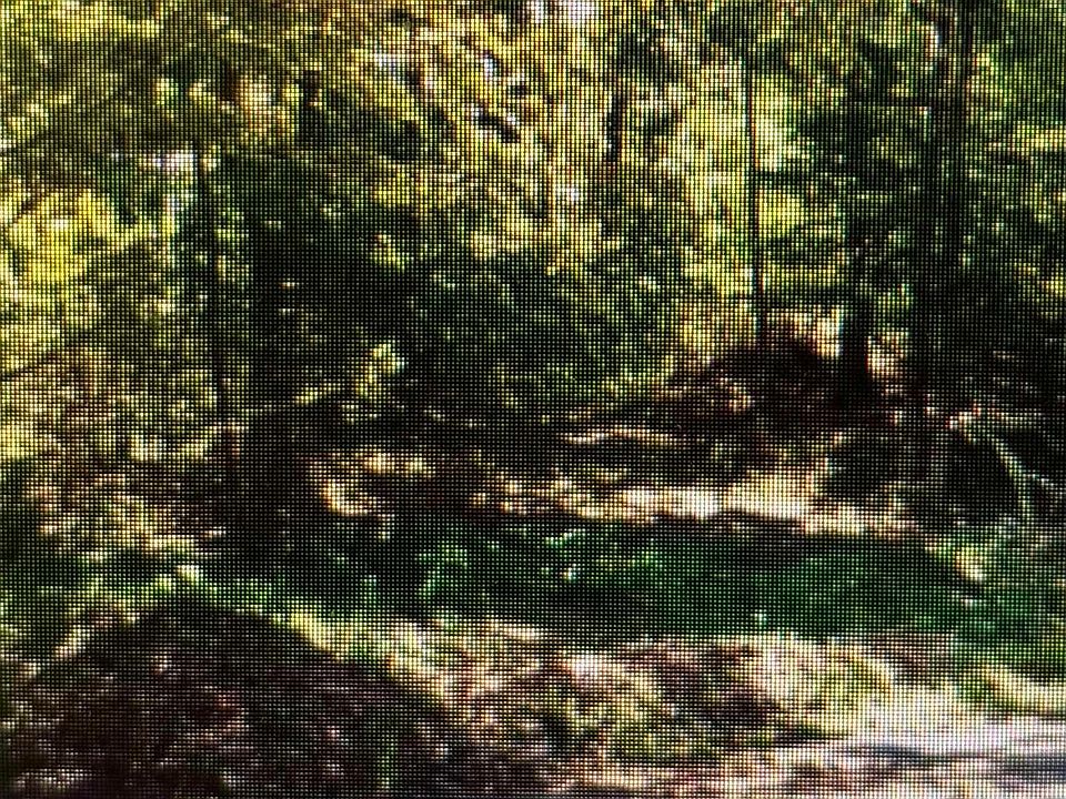 1st image of 3409 Terry Cir