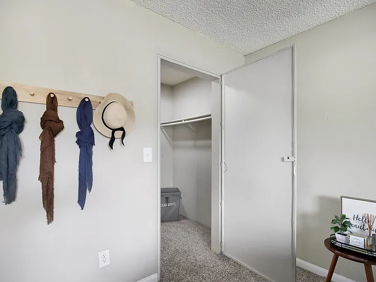 Walk-in bedroom closet.