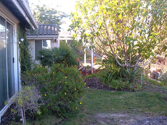 portion of back yard