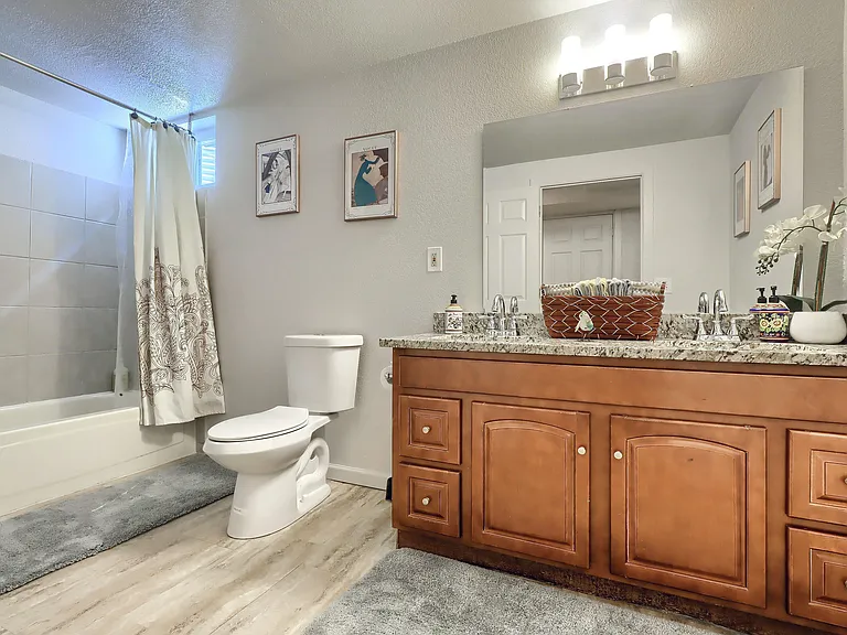 Basement Bathroom