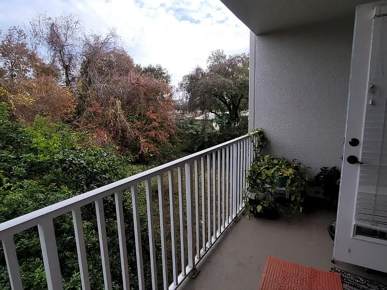 2529 Druid Rd E #2529 — Photo 19