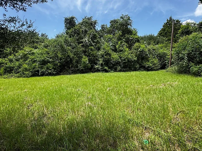 30827 Burton Cemetery Rd — Photo 15