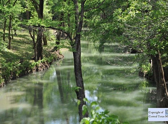 2nd image of 217 Hidden Lake Dr