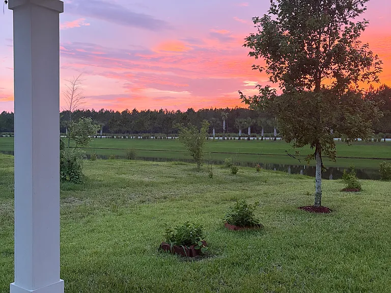 Outdoor patio view
