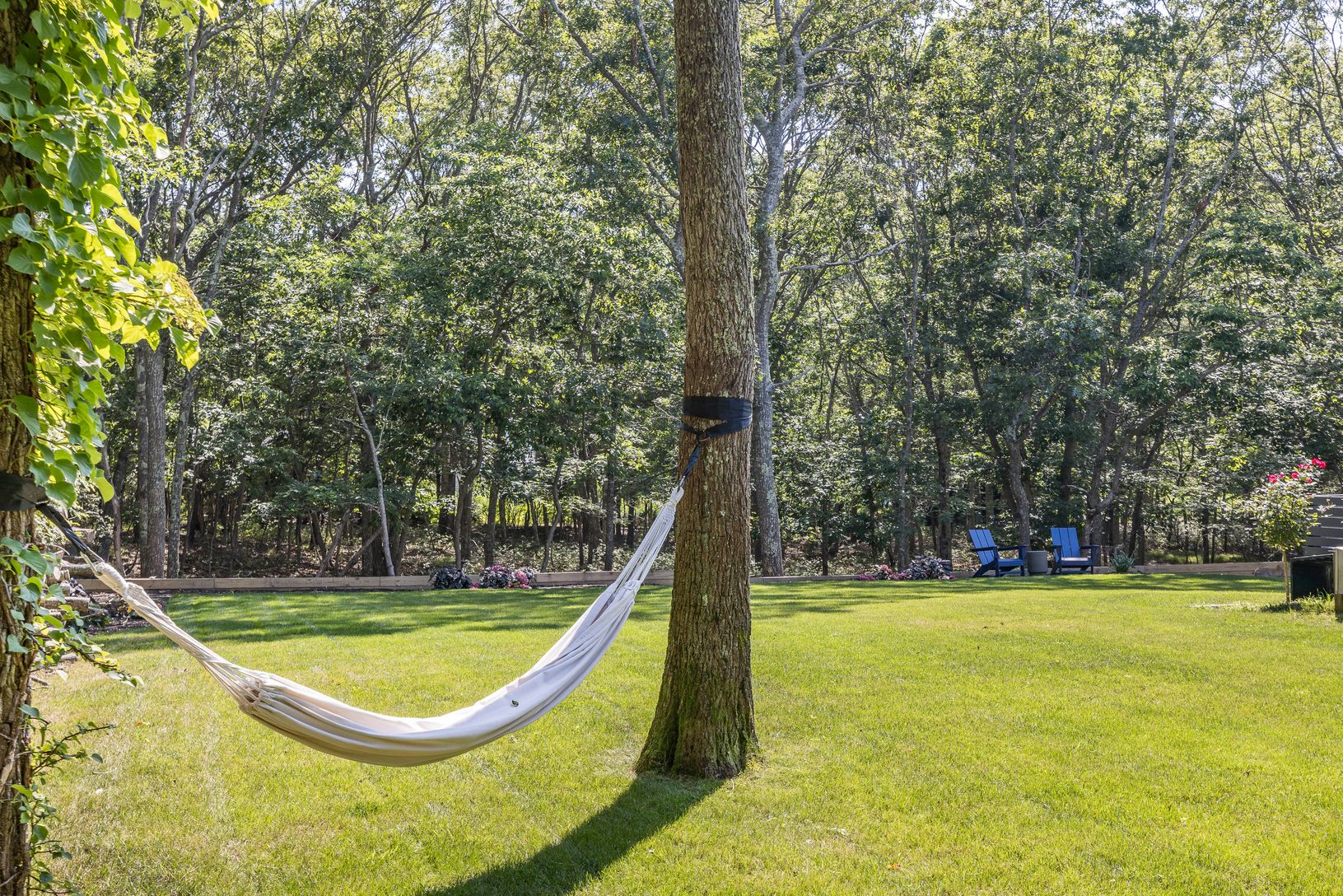  Take a nap in the hammock 