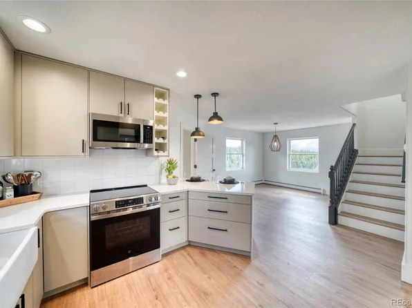 172 Brooklyn Circle, Leadville, CO 80461