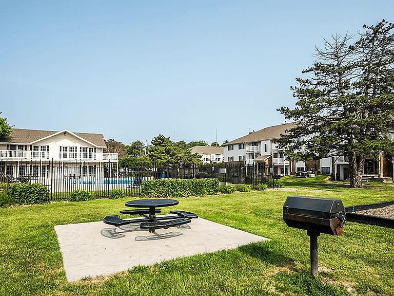 BBQ and Picnic Area