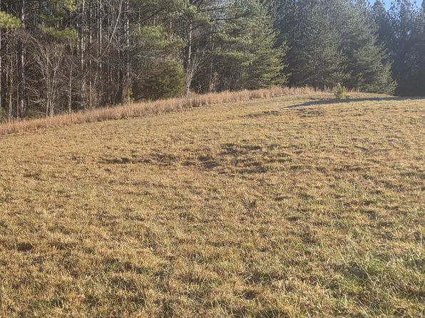 122 White Water Run Ln, Ocoee, TN 37361