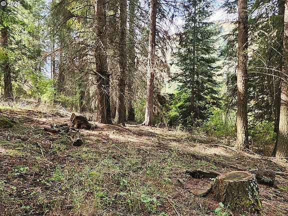 2nd image of 60152 River Canyon Rd