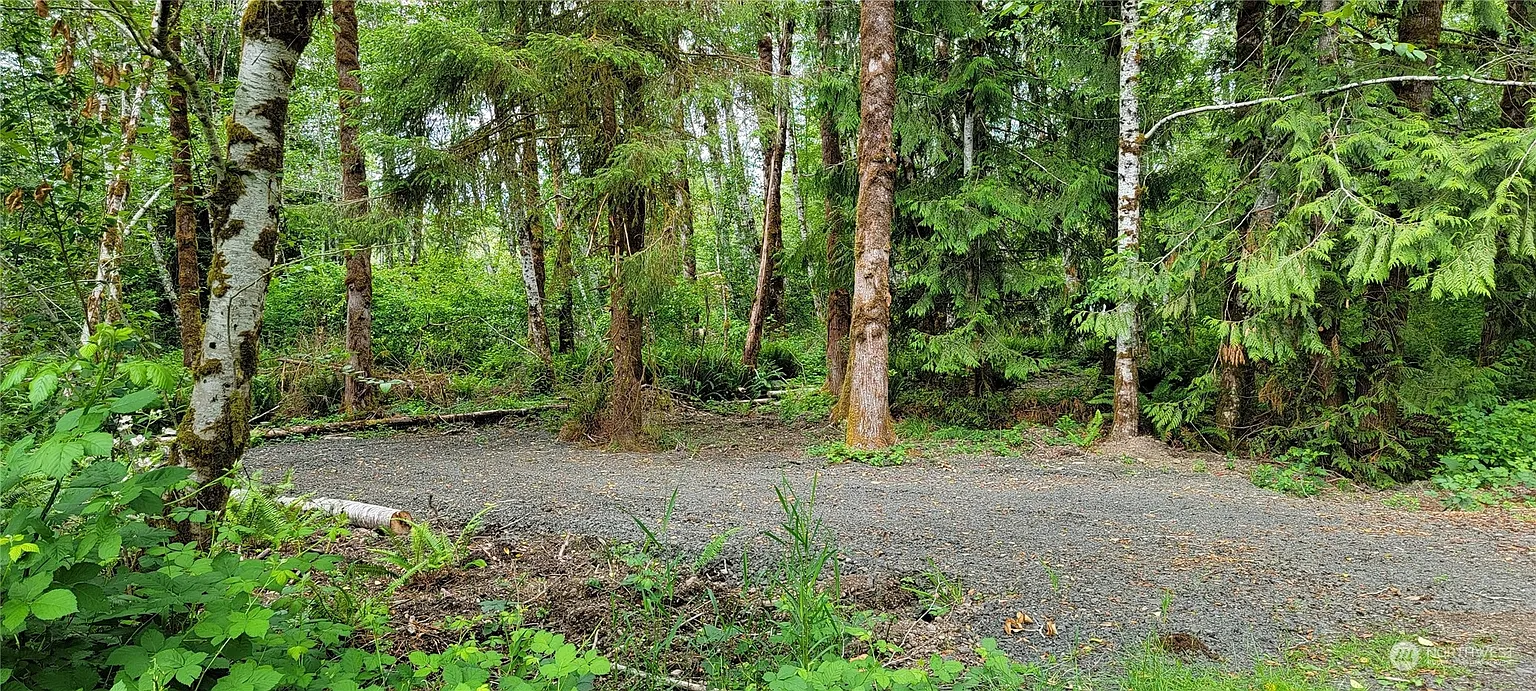 12 W Quillayute Trail photo 1