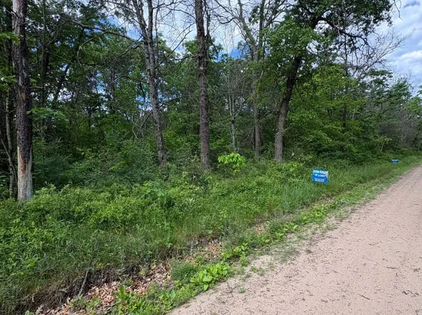 V/l E Lynndon St, Idlewild, MI 49642