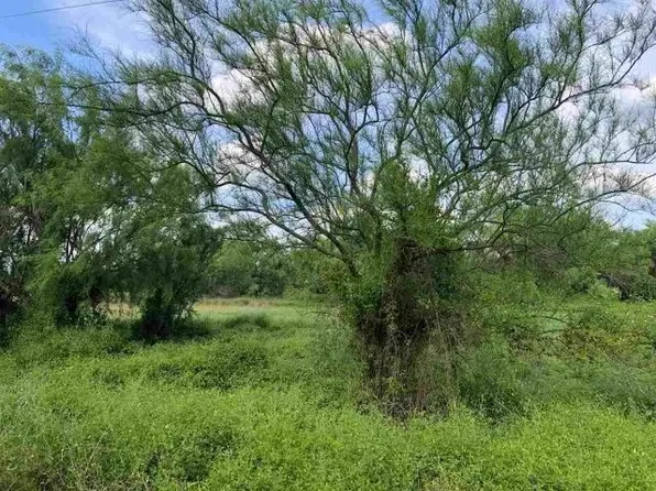 0 White Tail Ln, Encinal, TX 78019