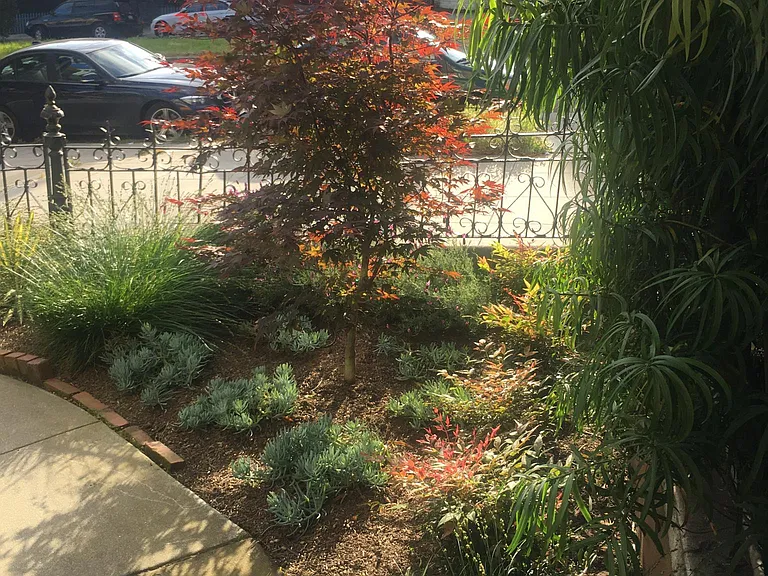 1080 Dolores St — Photo 3