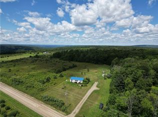 3016 Swain Hill Rd, Swain, NY 14884