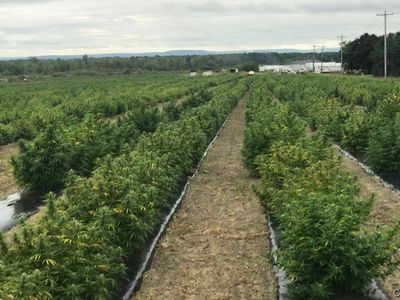 321 Running Creek Rd, Valatie, NY, 12184