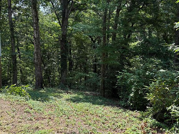 2nd image of 6524 Lake Shadows Cir