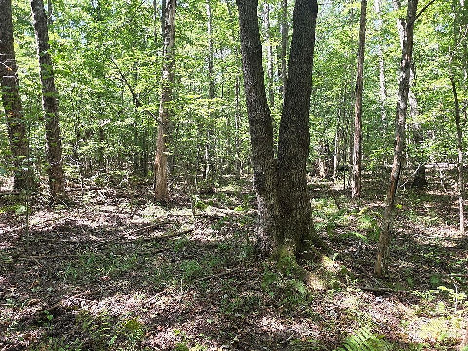 1st image of W Laurel Way