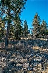 3rd image of 1956 NW Jack Lake Ct