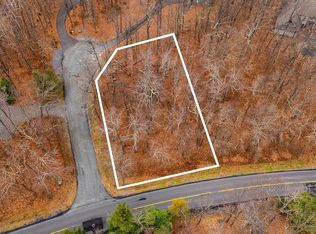 559 Laurel Springs Dr, Roseland, VA 22967