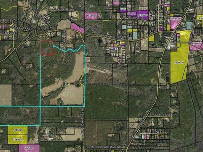 Xx Cara Trl, Crawfordville, FL, 32327