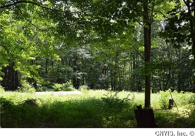 2nd image of 922 Stone Barn Rd