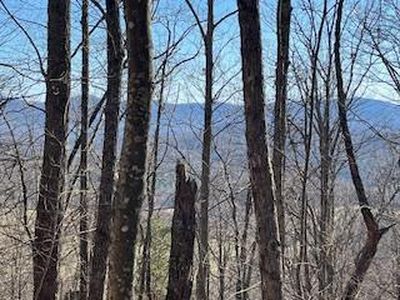 N/a Turkey Rdg, Morganton, GA, 30560