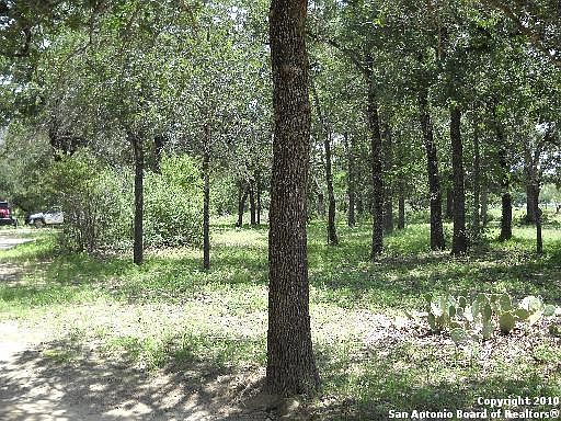 5th image of TBD County Road 307
