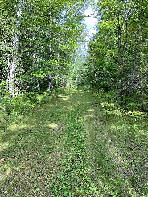 1st image of 3773 Birchwood Trl