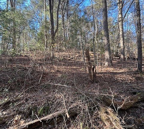 3rd image of 0 Old Miller Rock Ln
