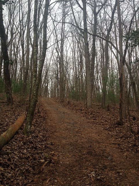 1st image of 11.04 Acres Twiggs Lane