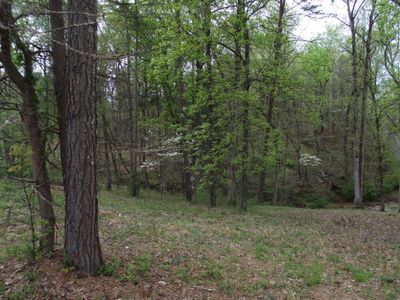 16660 N Star Cir, Sale Creek, TN, 37373