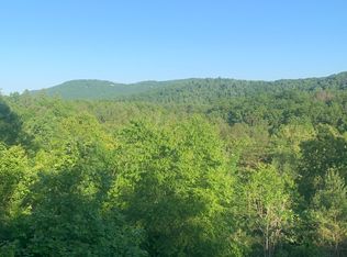 1A Foster Cove Rd, Epworth, GA 30541